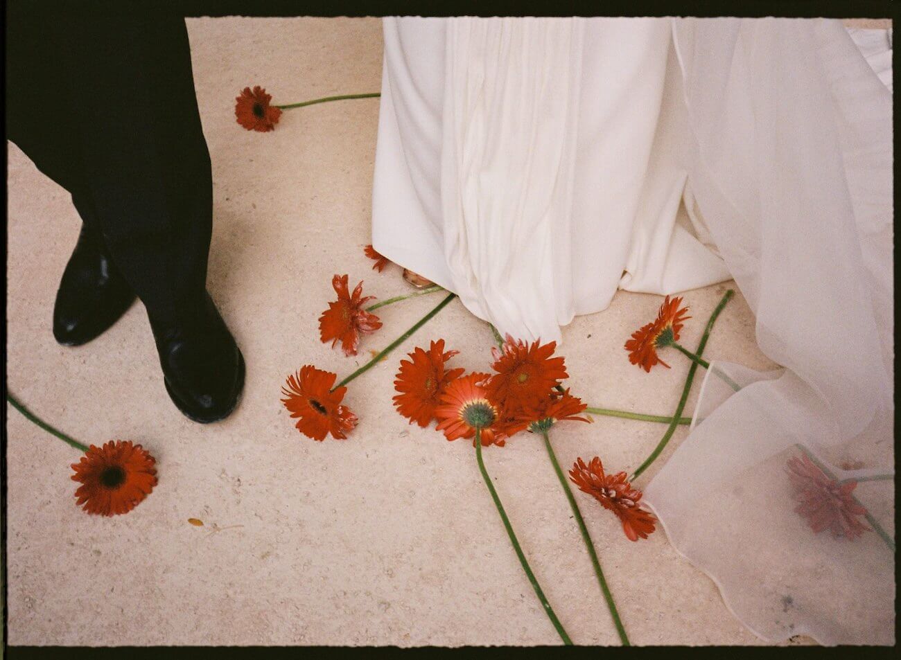 gloria-byler-film-photography gloria-byler-film-photography